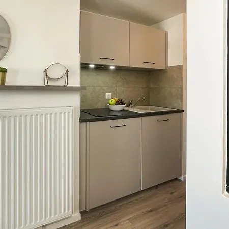 Appartement Homey - Studio Amazonia Evasion - Hyper Centre - Aux Portes De Geneve *