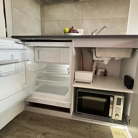 Homey - Studio Amazonia Evasion - Hyper Centre - Aux Portes De Geneve Annemasse
