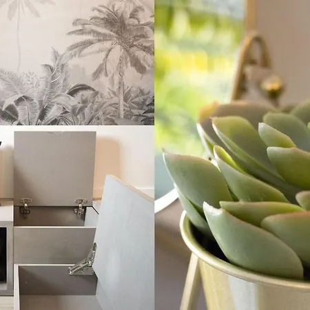 Homey - Studio Amazonia Evasion - Hyper Centre - Aux Portes De Geneve Annemasse